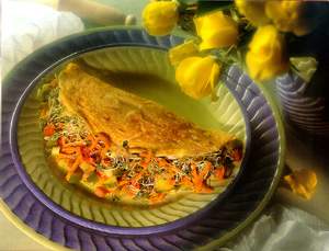garden omelet