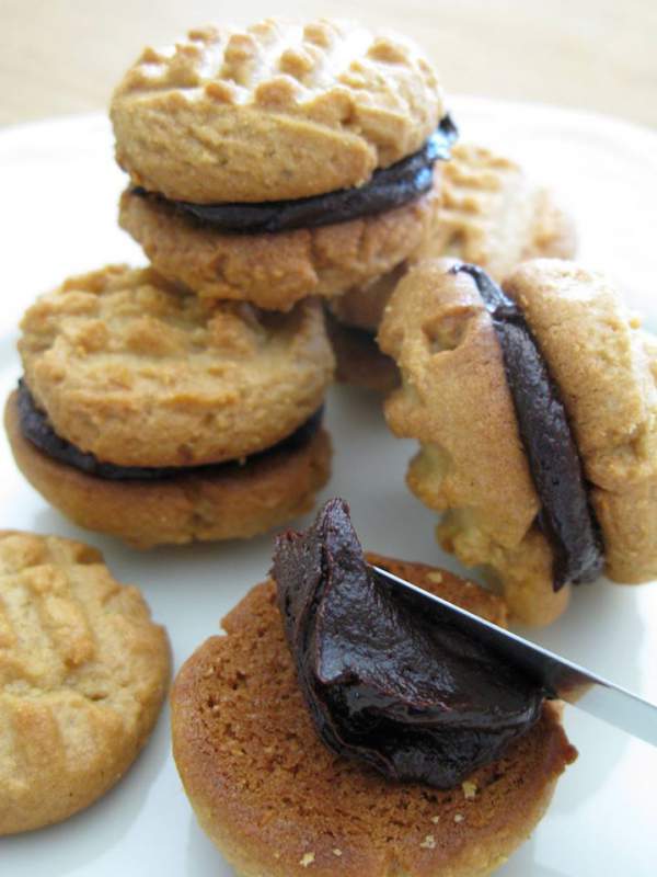 Nutty Butter Chocolate Sandwich Cookies