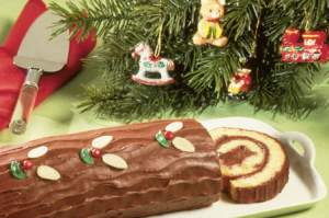 Chocolate-Almond Yule Log