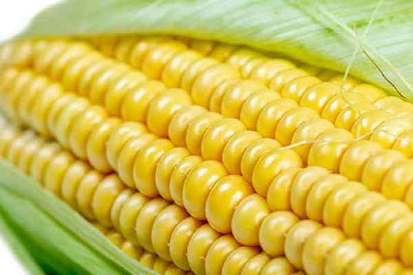 Corn on the Cob recipe