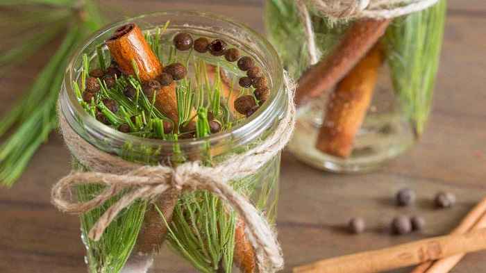 Cinnamon and Pine Fragrance Jar