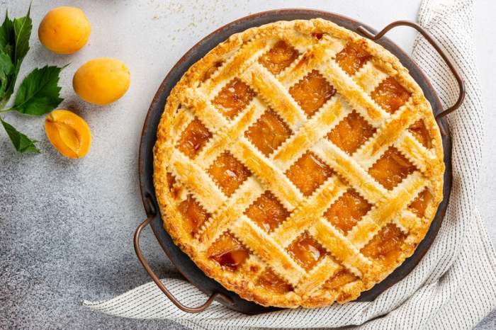 Fresh Apricot Pie recipe